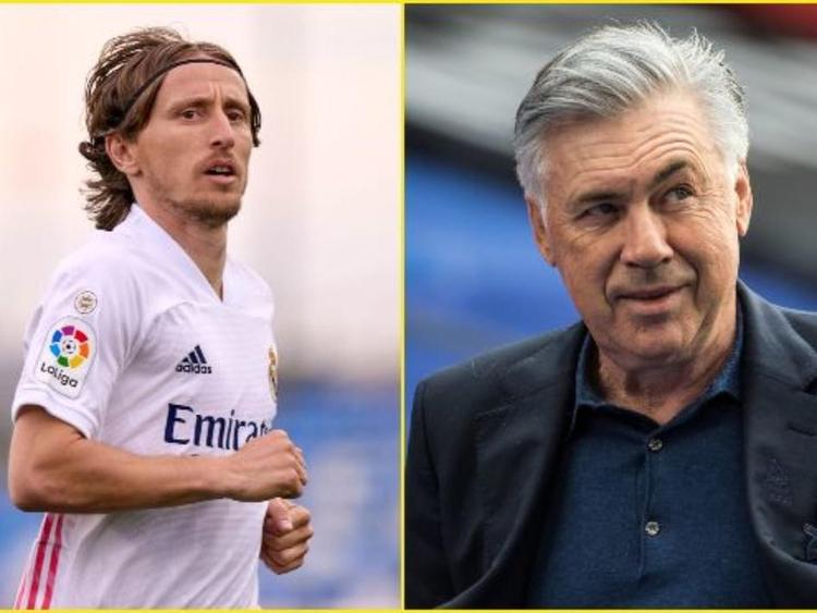 博纳诺特预 博纳诺特预